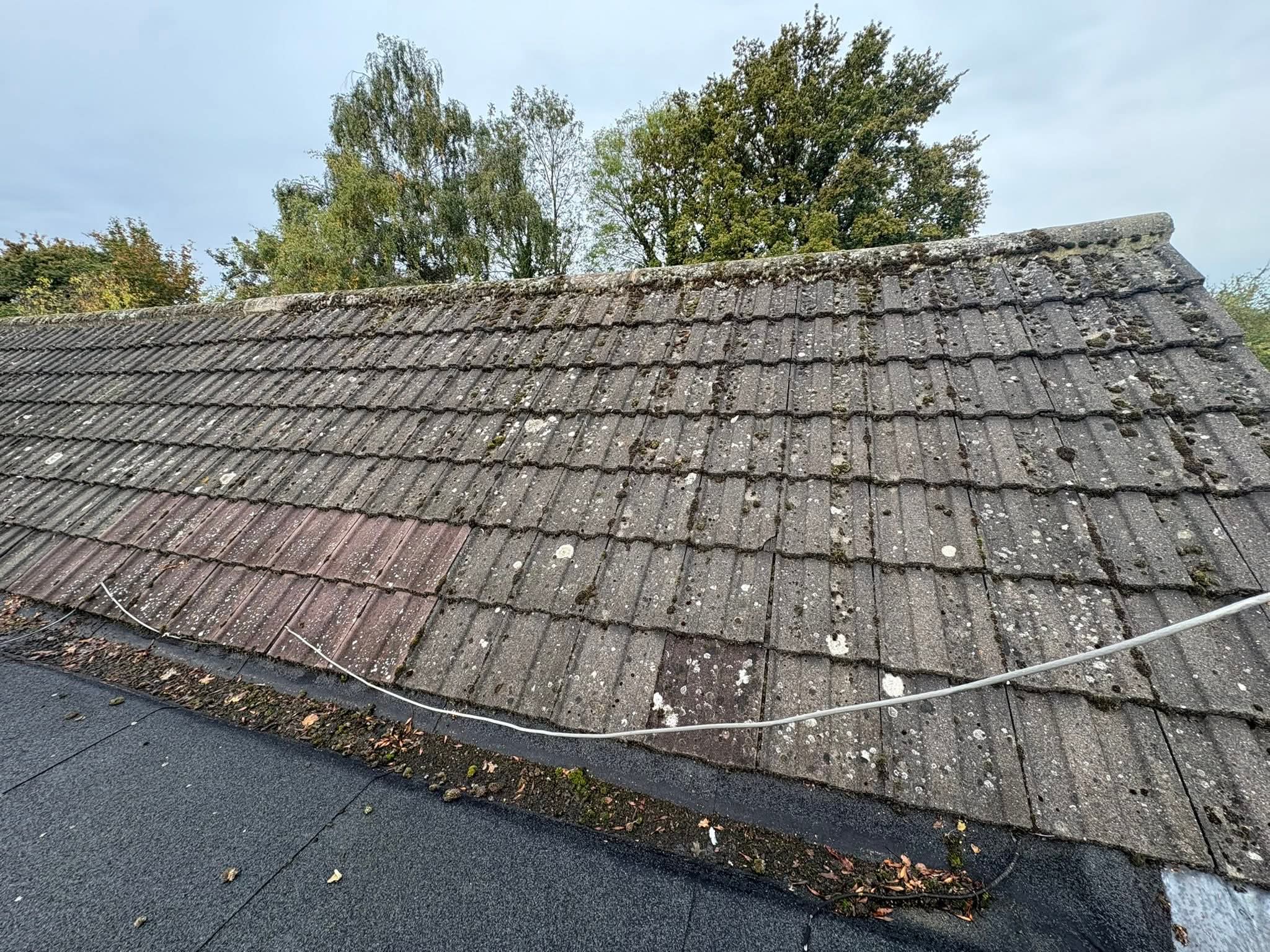 Pitched roof with moss and lichen before treatment