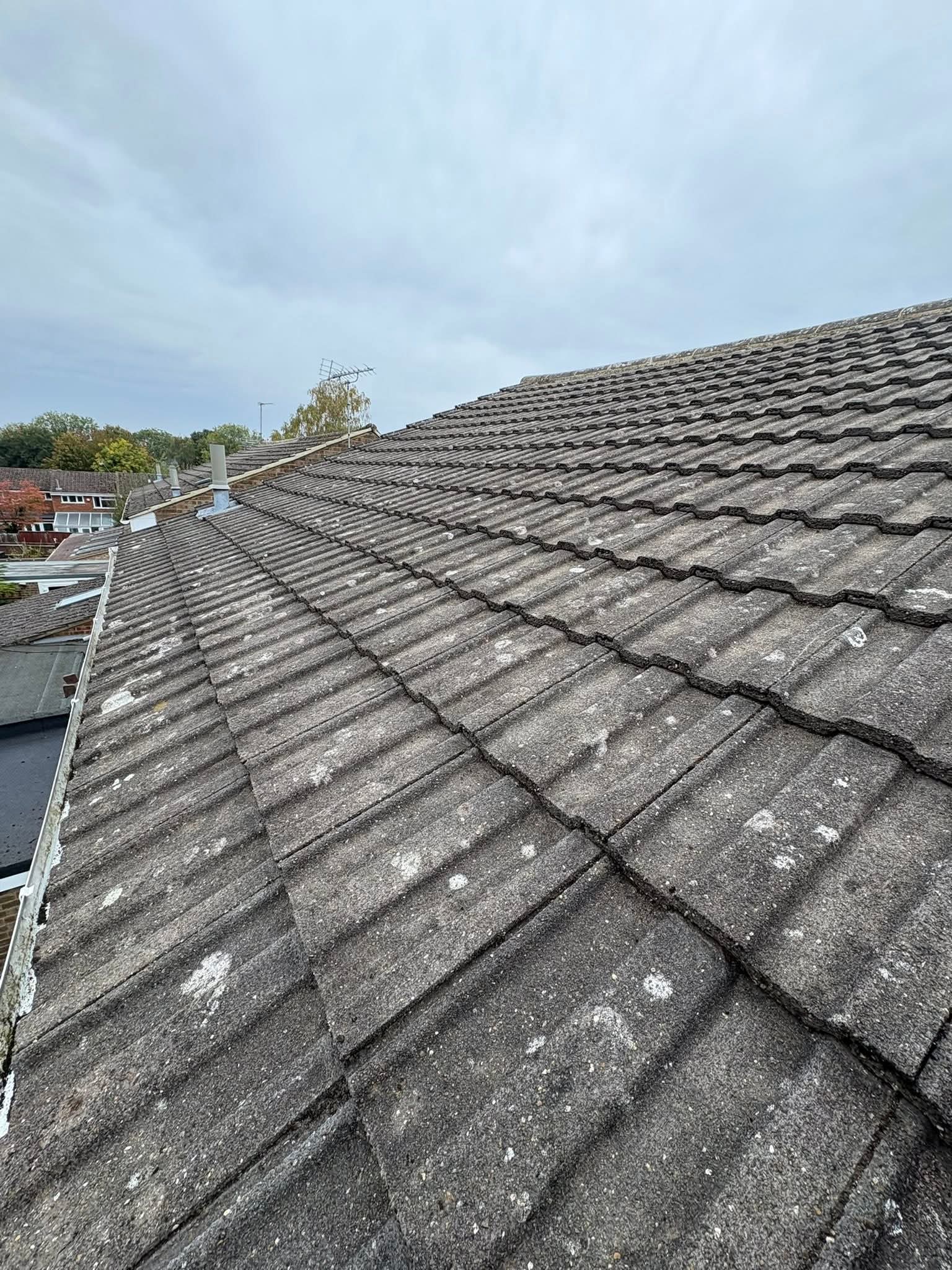 Roof scraping or brushing work in progress