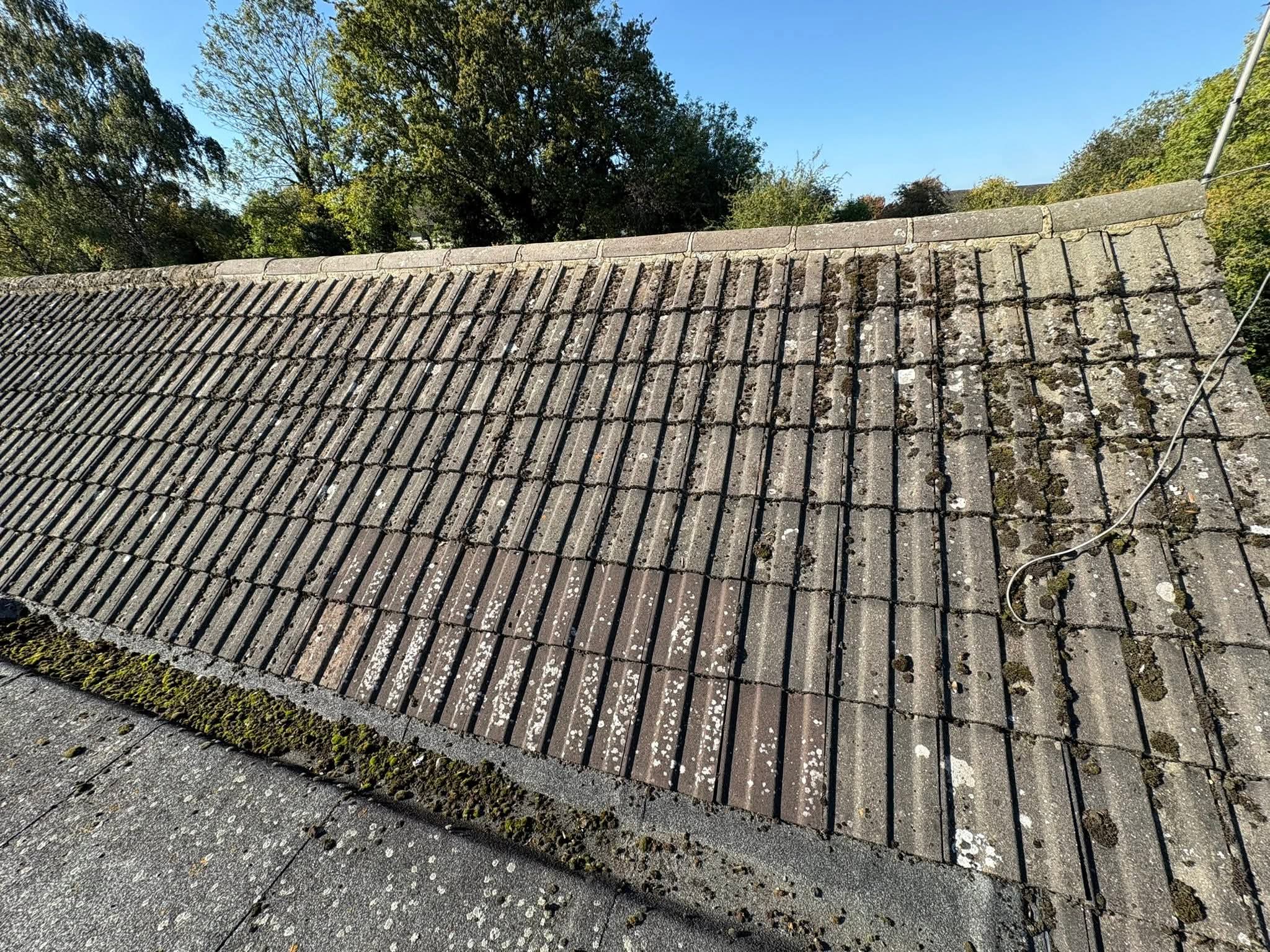 Low-pitch or bungalow roof from working position