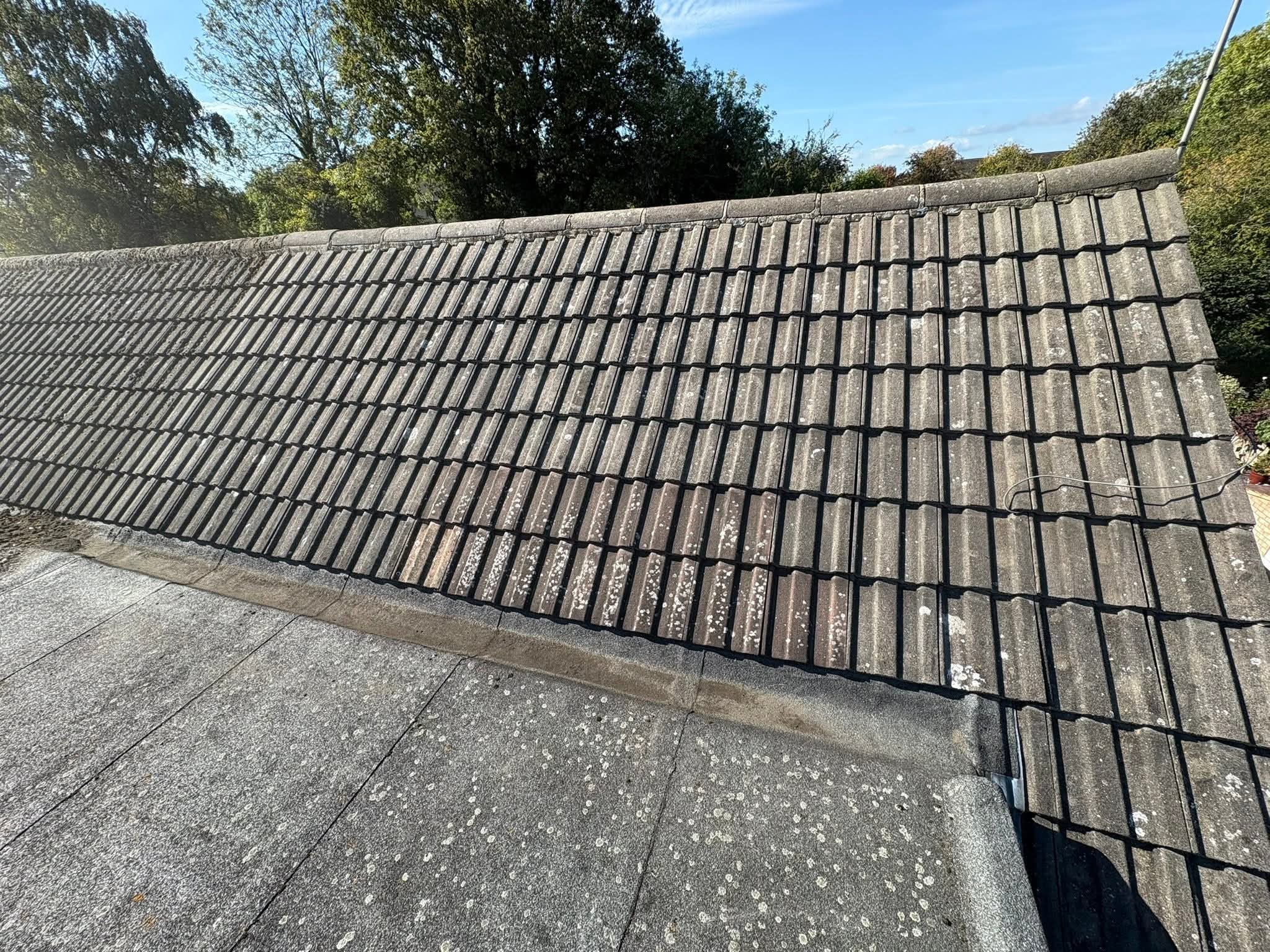 Moss buildup along tile courses