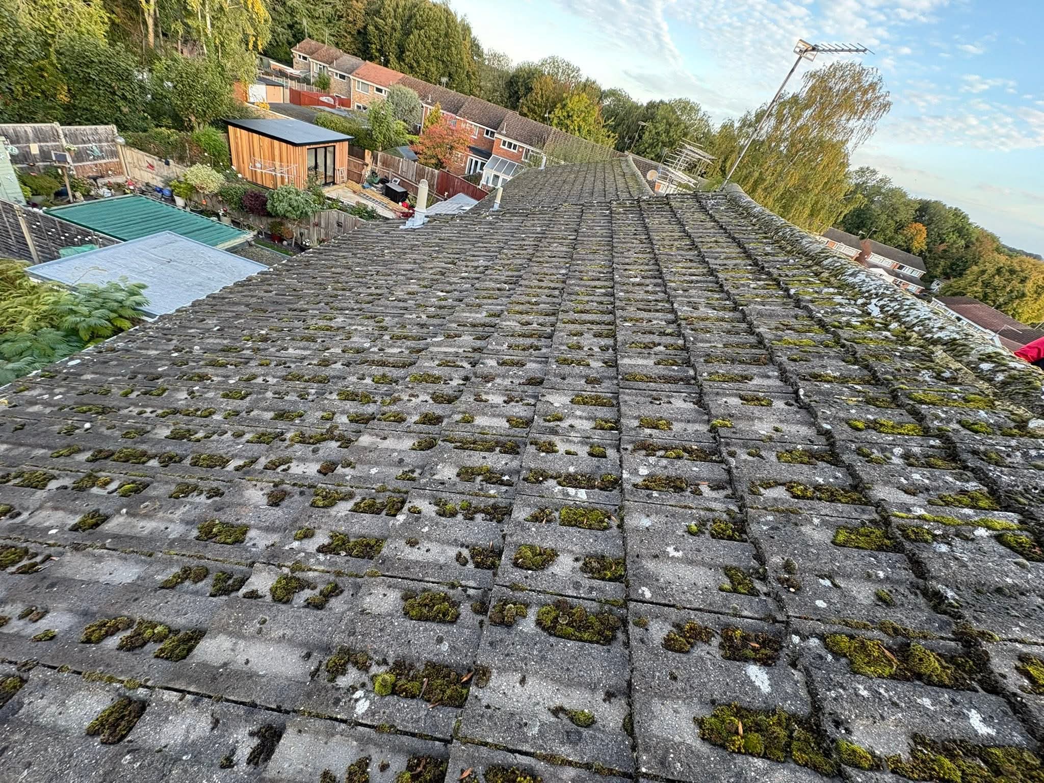 Roof valley or abutment with organic growth