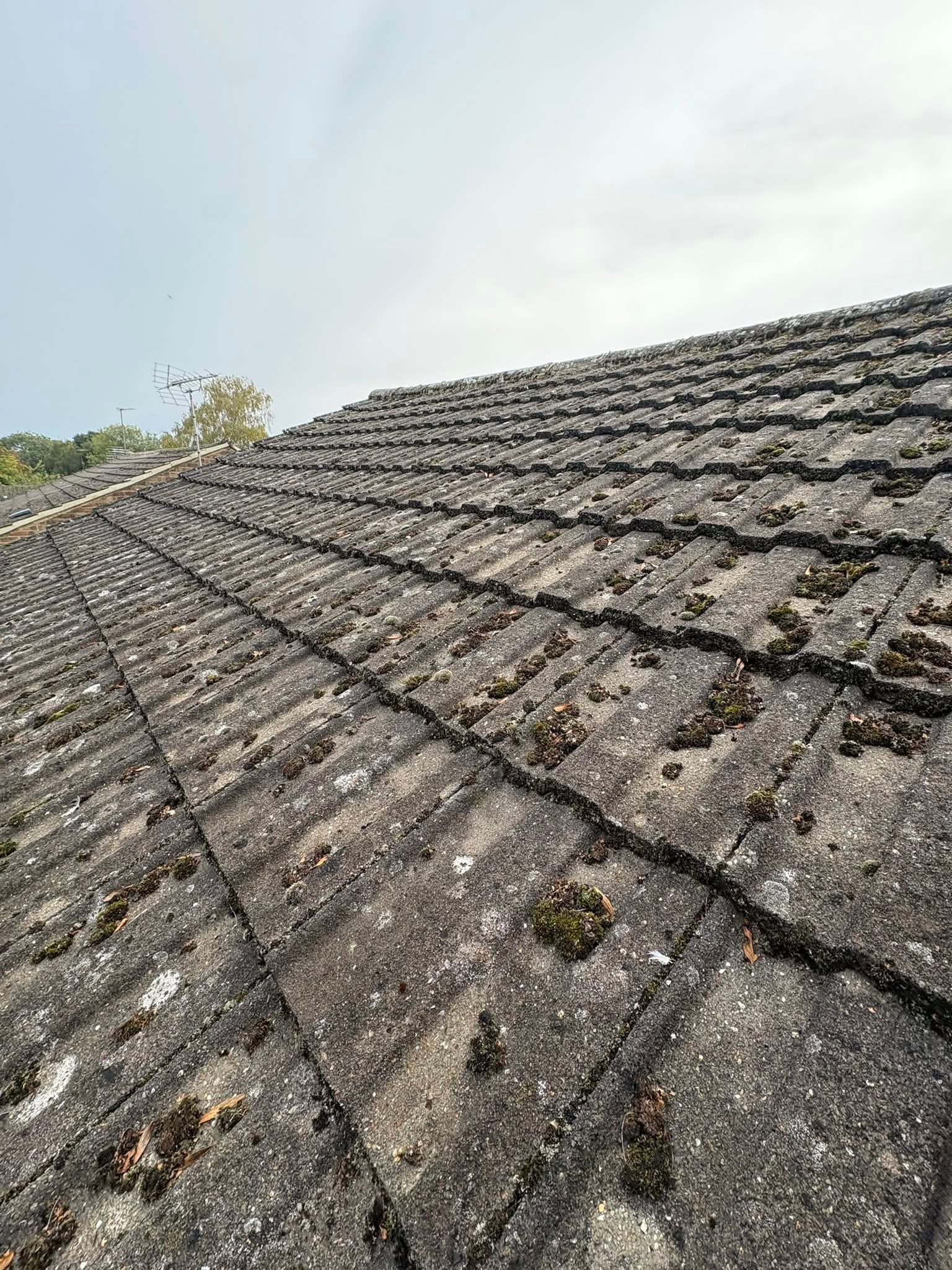Residential roof after partial clearing
