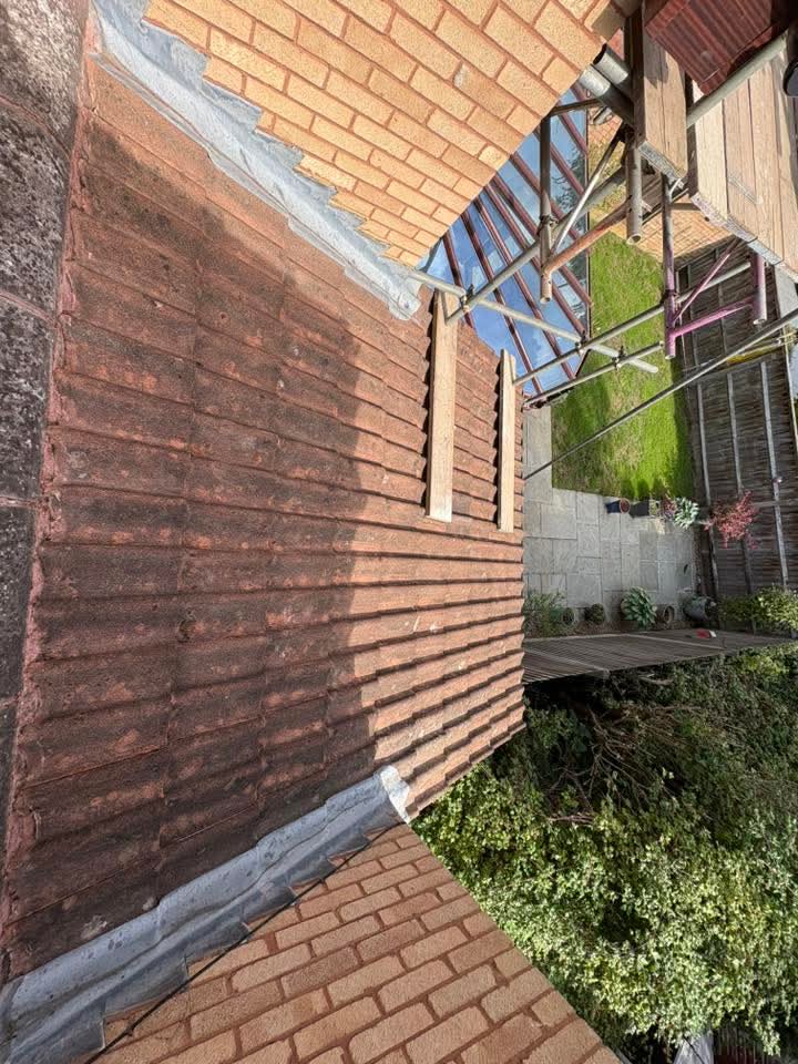 Dark algae staining on roof tiles