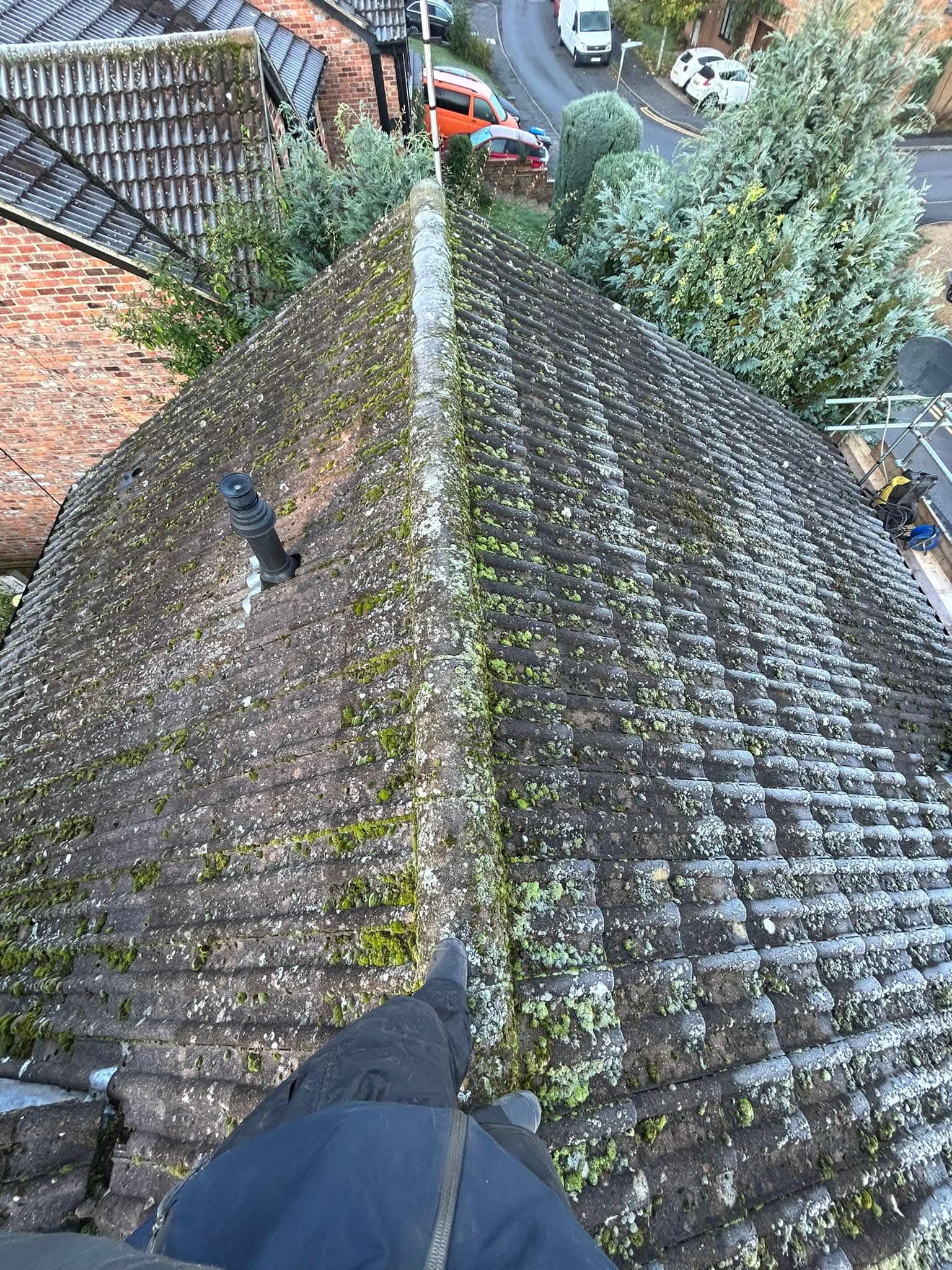 Concrete or clay tiles with surface growth