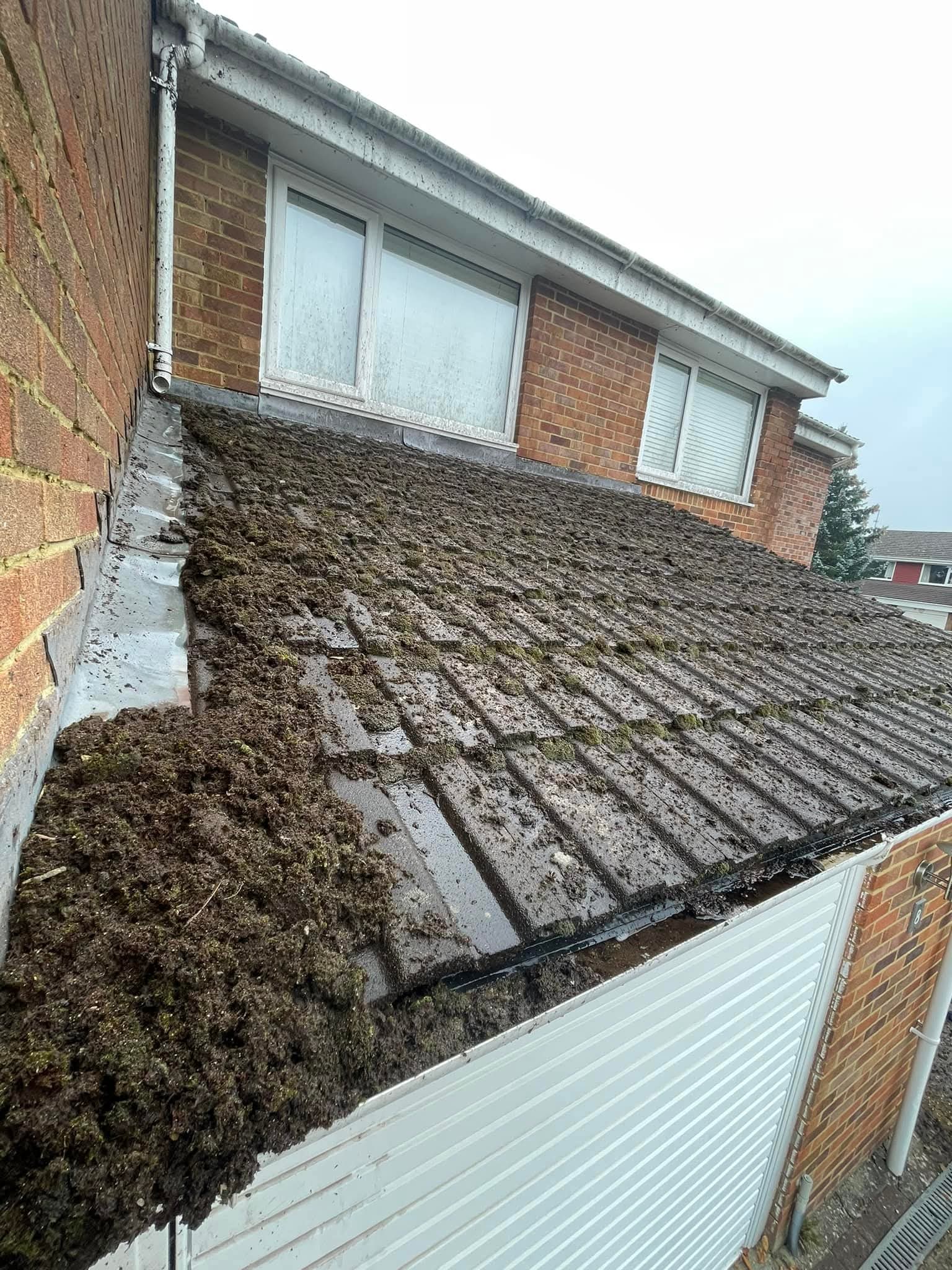 Moss removed from tile laps