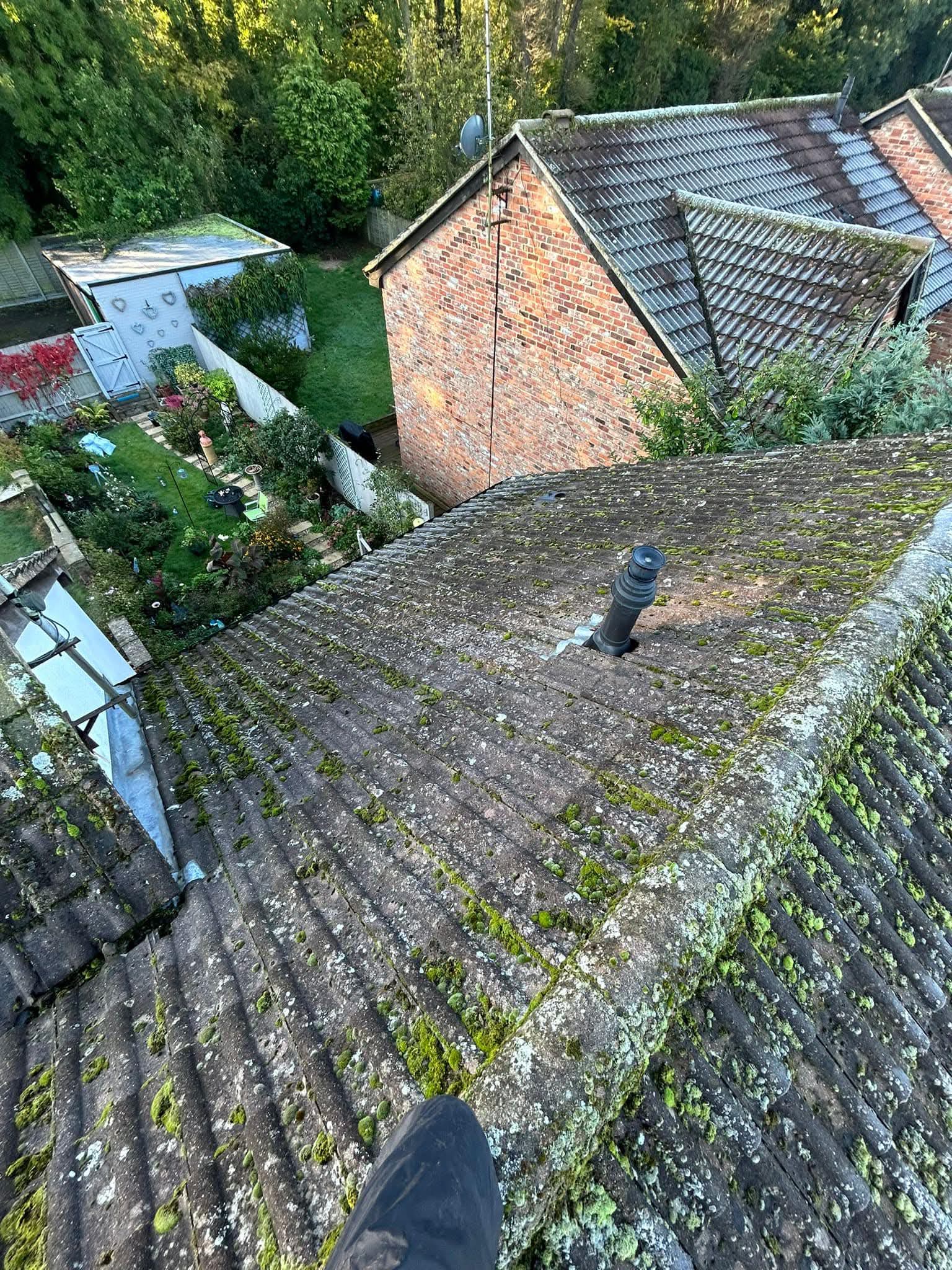 Tree-shaded roof with accelerated growth