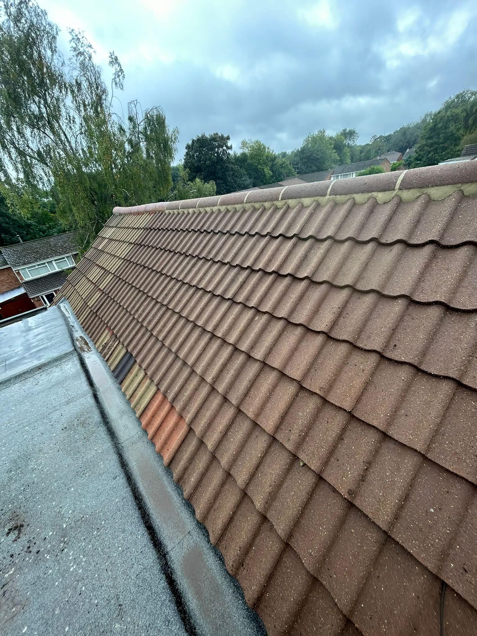 Weathered tiles with lichen patches